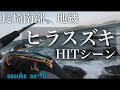 【人気ダウンロード！】 長崎 ヒラスズキ ポイント 697513-長崎 ヒラスズキ ポイント