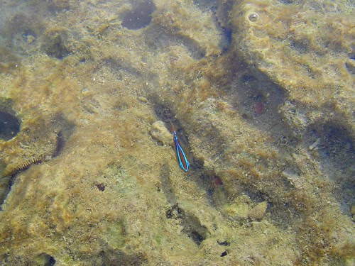 墾丁萬里桐/無限台南