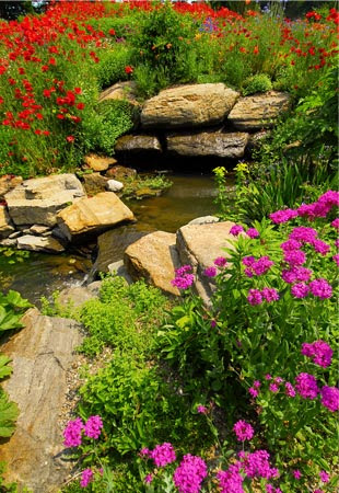 Concepts Beautiful Flower Garden