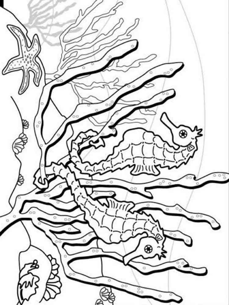 Download Seahorse coloring pages. Download and print Seahorse ...
