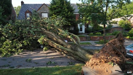 An uprooted tree blocks a street in the American University neighbourhood of Washington, DC, on Saturday