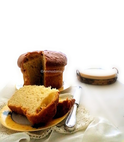 Torta Di Pasqua al formaggio