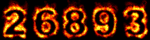 Web Counters