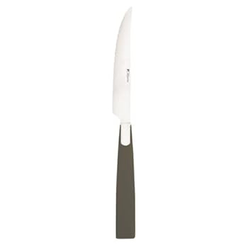 Guy Degrenne Colorissimo Lot de 12 Couteaux à Steak Manche Couleur Miroir Gris Guy Degrenne Colorissimo Lot de 12 Couteaux à Steak Manche Couleur Miroir Gris