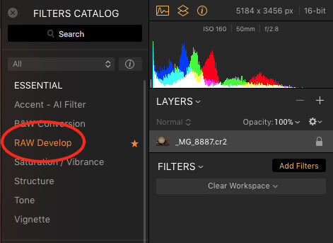 Luminar 2018 RAW Develop Filter