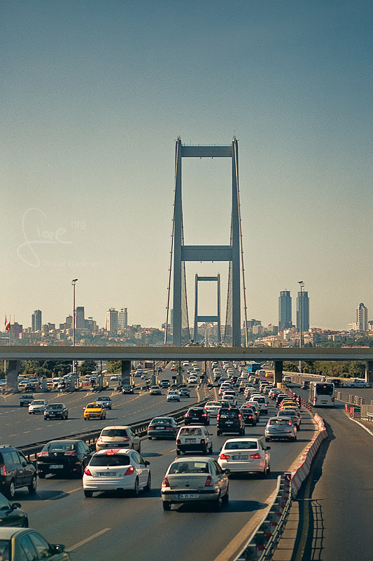 _MG_1174