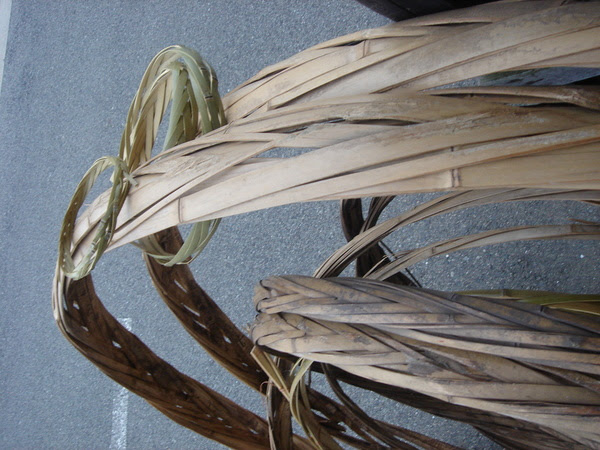 DSC07285.JPG
