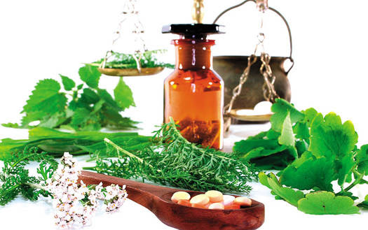 Resultado de imagen para PARA QUE SIRVEN LAS PLANTAS