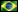 Português