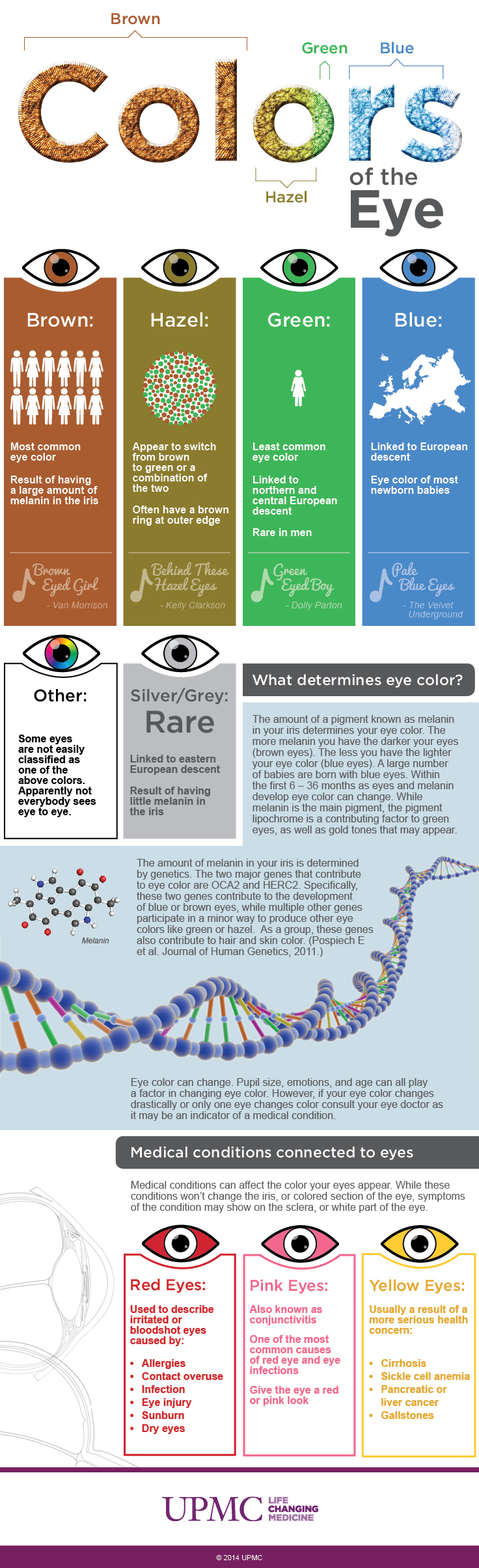Infographic: Eye Color Breakdown Guide | UPMC HealthBeat
