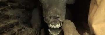 Dog Mummy Free Download Youtube Mp3 and Mp4