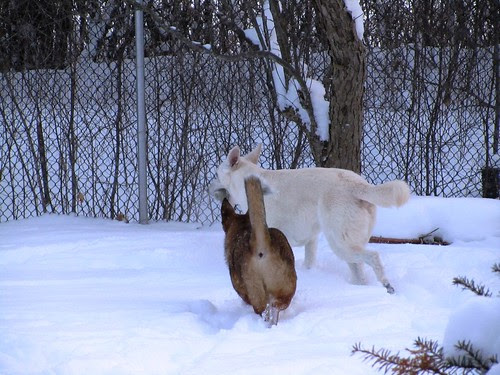 Dec. 6-first snow day