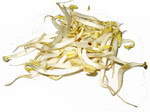 Bean Sprouts