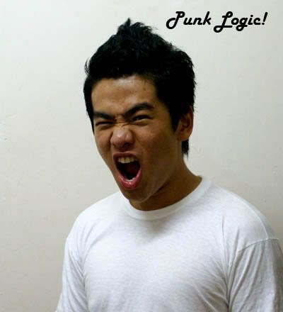 Punk Logic