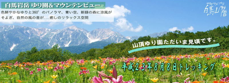 白馬岩岳ゆり園