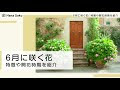 [最も共有された！ √] 6がつ 花 104650-6月 花 見ごろ 関西