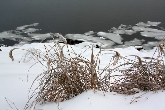 ice, willamette river
