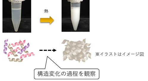 広島大学放射光科学研究センター