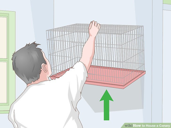 House a Canary Step 6.jpg