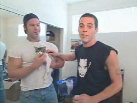 steve o and bam