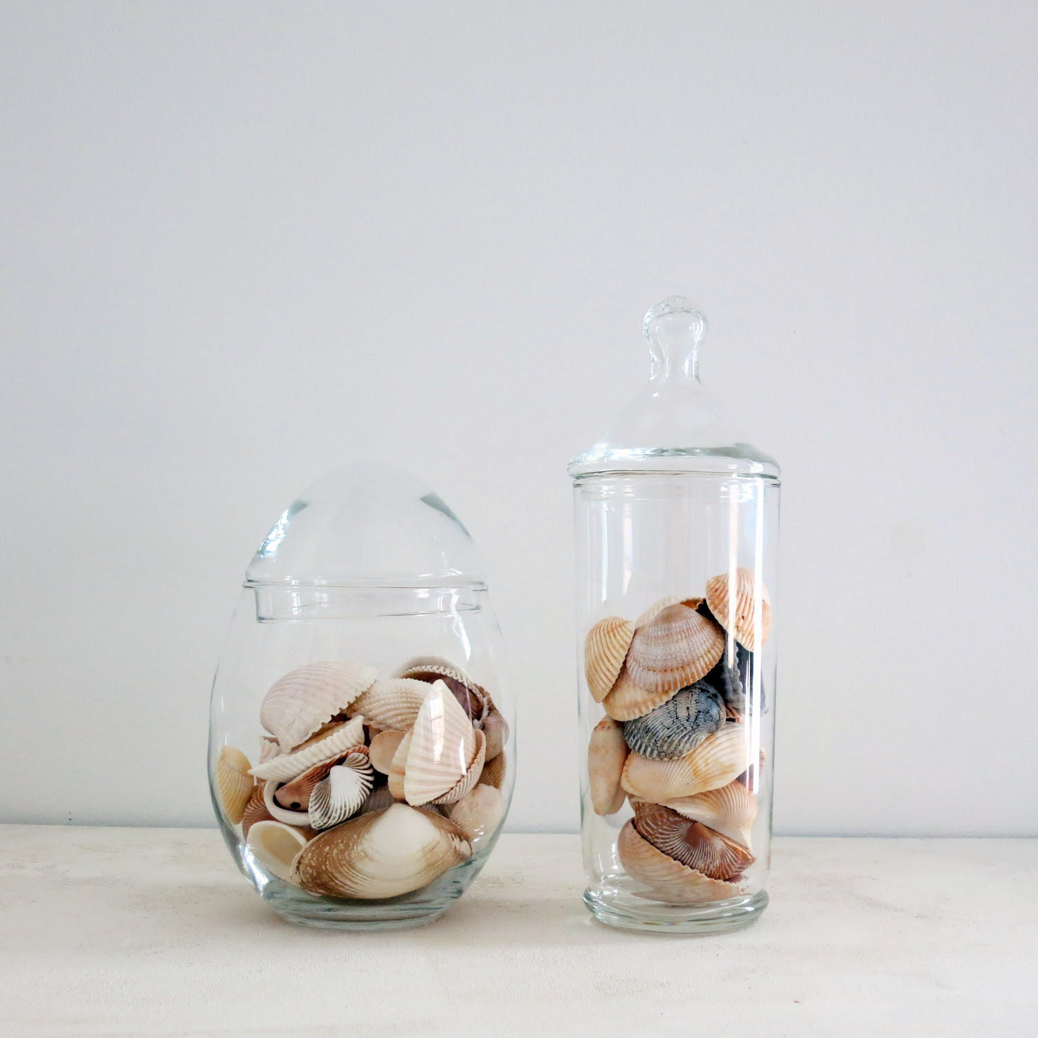 Vintage Glass Apothecary Jars - Full of Sea Shells - Set, Pair of 2