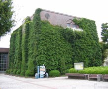 壁面緑化を楽しもう