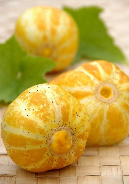Lemon Cucumbers salad + Italian Basil Pesto Recipe | White ...
