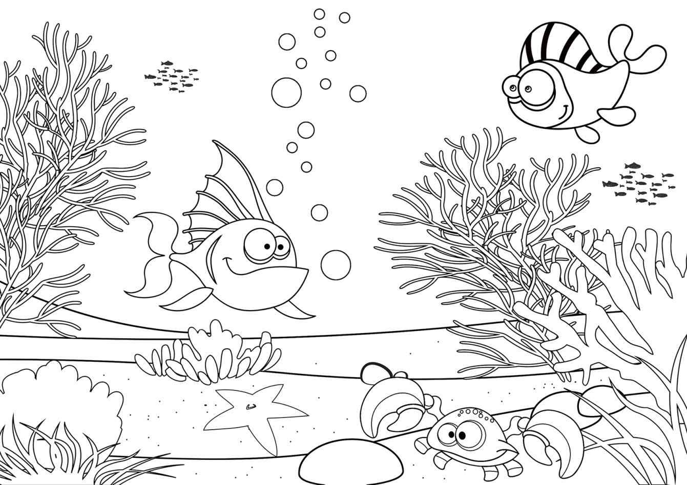 Ecosystem Drawing With Labels at GetDrawings | Free download