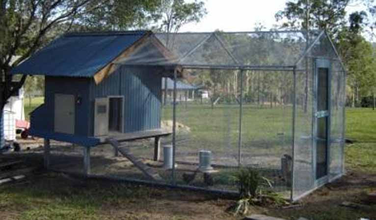 Chook Pen