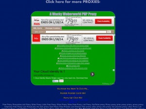 braveproxy.info
