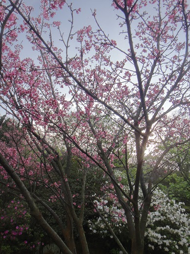 DSC03135