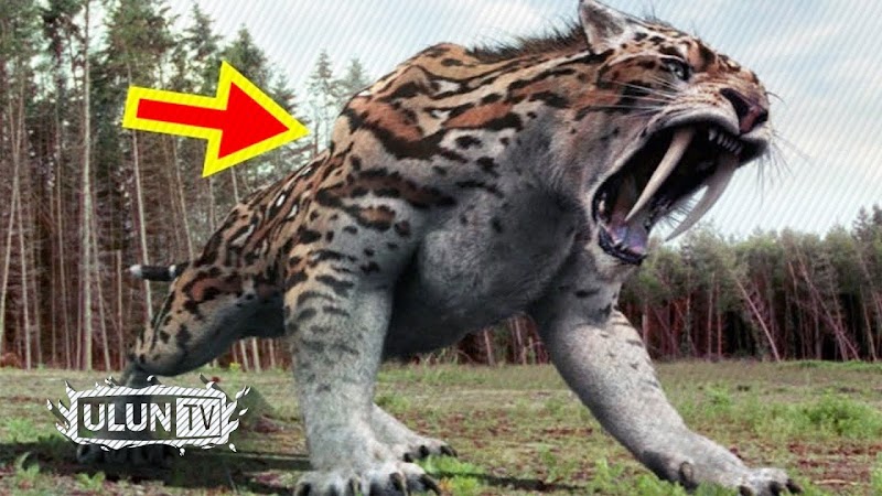 47+ Inilah Hewan Purba Terkuat