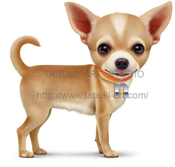 犬のリアルイラスト 果物のイラスト作品