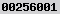 page hit counter