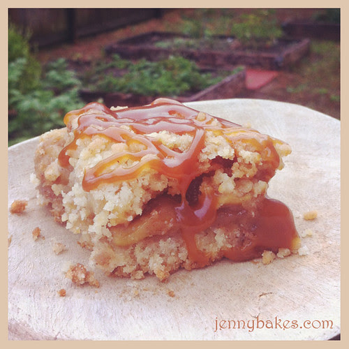 Salted Caramel Apple Crumb Bars