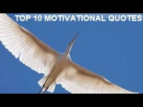 quotes on life and love picture. quotes, life quotes, love