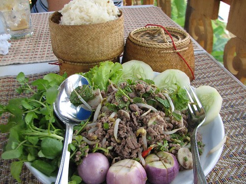 Beef Lap