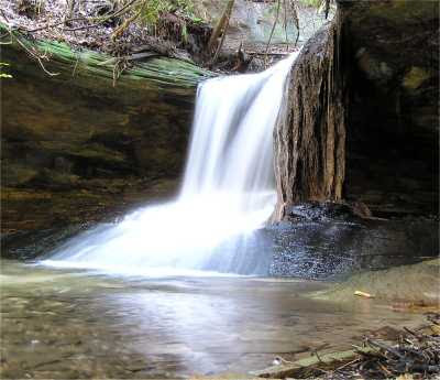 Rutledge Falls Tn. of Tennessee ratings,