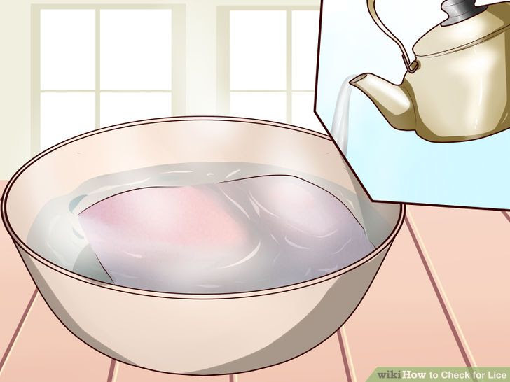 Check for Lice Step 26.jpg