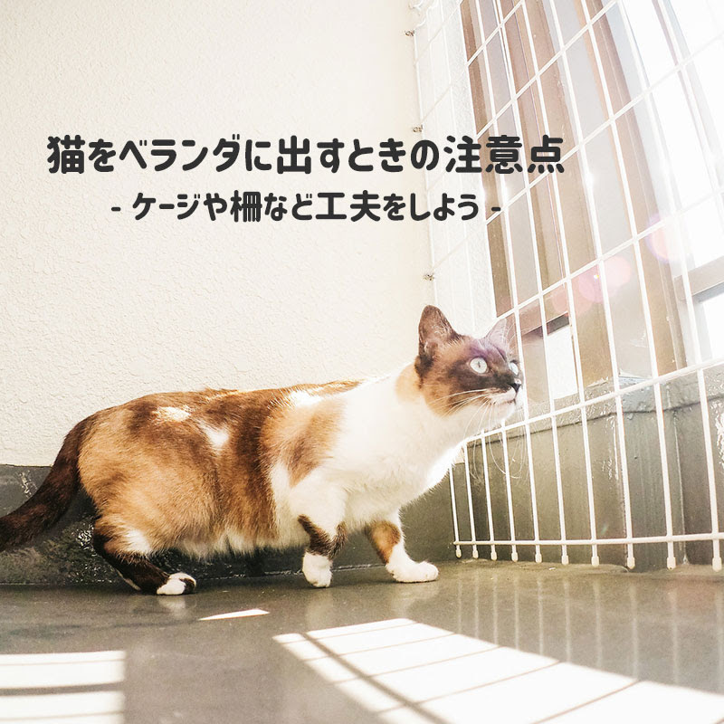 猫の遊び場にベランダはok ケージを用いて快適な場所を提供しよう