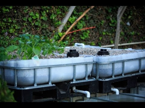 DIY $10 Aquaponics Swirl Filter | How To Save Money And Do It Yourself 