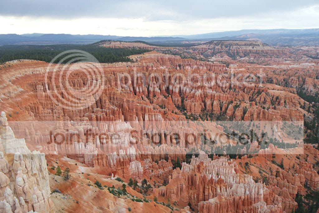  photo bryce3.jpg