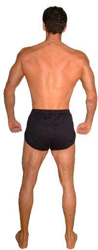 Workout Your Body & Body Parts
