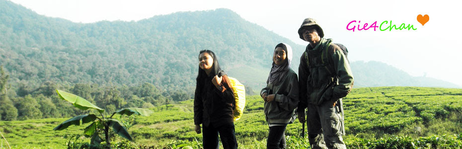 Banner4