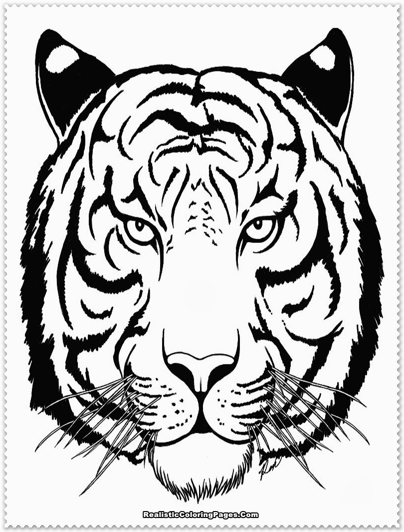Saber Tooth Tiger Coloring Page at GetColorings.com | Free printable