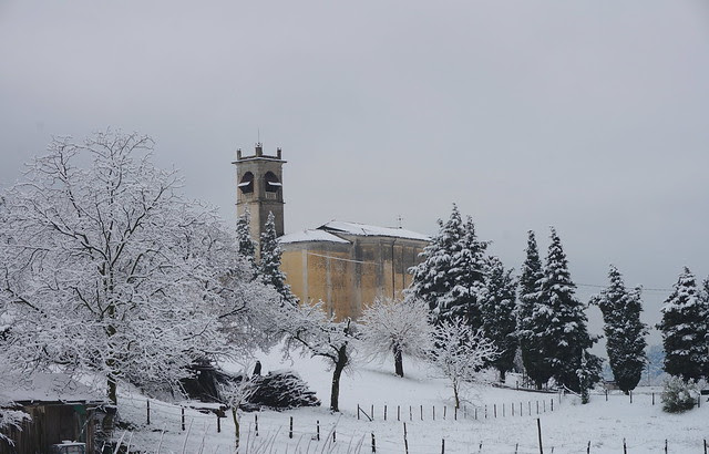 DSC00532 - Version 2