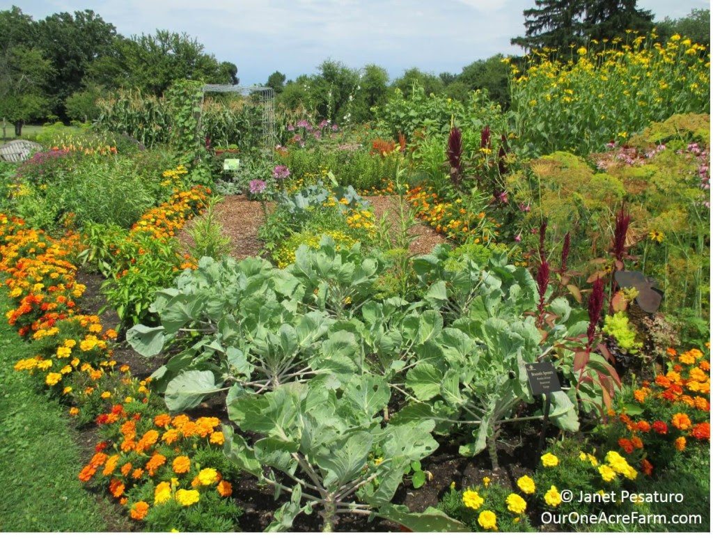 List of Synonyms and Antonyms of the Word: Backyard Farming