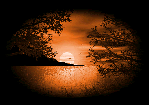 paysage4