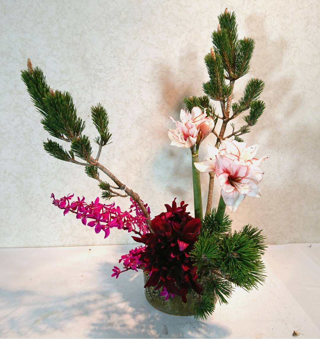 お正月花 寿松ことぶきまつ をいける いけばな Sogetsu 教室 つくば