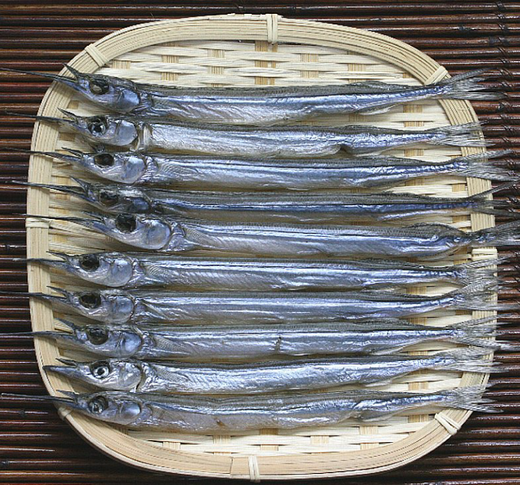 サヨリ 桑田食品